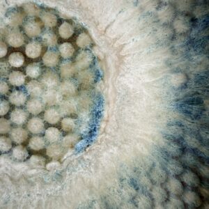 Exklusive Deko Schale aus Keramik handgemacht Designer