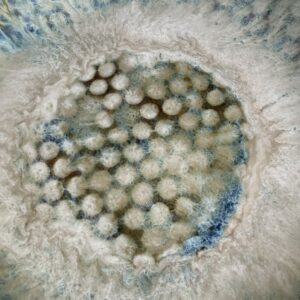 Exklusive Deko Schale aus Keramik handgemacht Designer