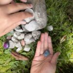 Wunderfunkel, magische Geschenkidee, nachhaltiges Mitbringsel, funkelnder Edelstein, Naturmaterial, Bio-Glitzer, Überraschung, Spielspaß, Kinder Geschenk, nachhaltiges Geschenk, Zauberkugel, Kreativität, Sinnlichkeit