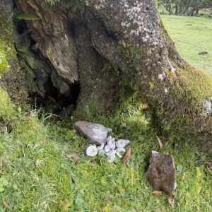 LARP Zubehör, magische Schätze, handgemachte Artefakte, Wunderfunkel Edelstein, Naturmagie, Fantasy Requisite, Zauberwald, Ritualobjekt, mystisches Licht, Alchemie Symbol, Mittelalter Fantasy, magischer Talisman, handgefertigter Schatz